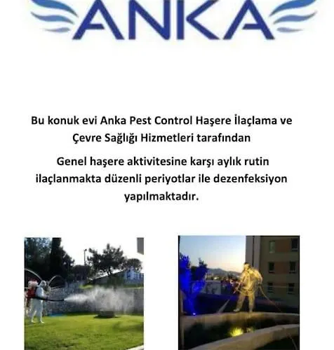 Yfn Urla Seaside House